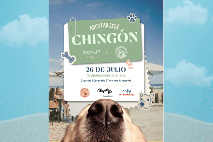 Adoptar Está Chingón – Pet Adoption Event