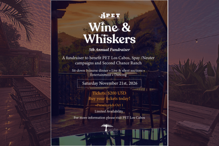 Wine & Whiskers