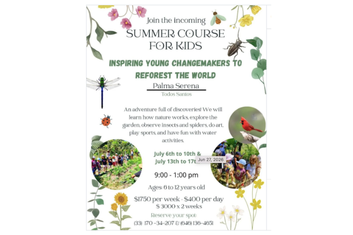 Summer Course for Kids: Inspiring Young Changemakers to Reforest the World